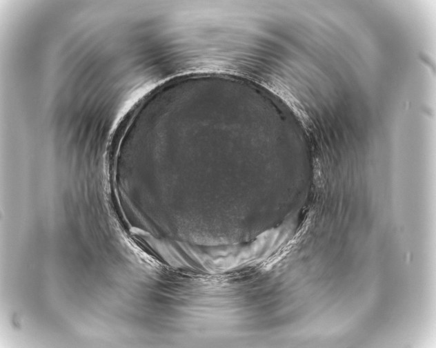 X0000093741120200710301059