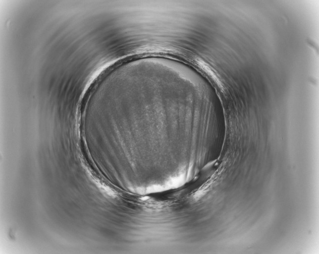 X0000093741124200710301059