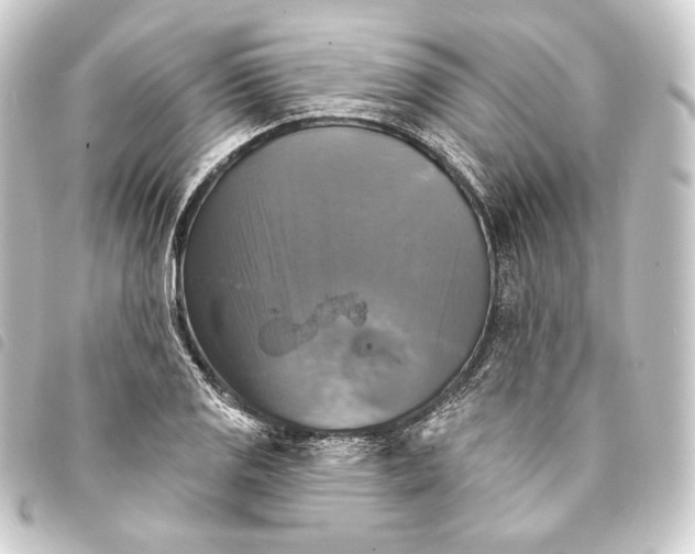 X0000093741125200710301059