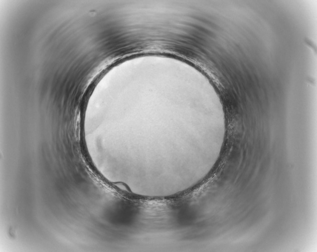 X0000093741126200710301059