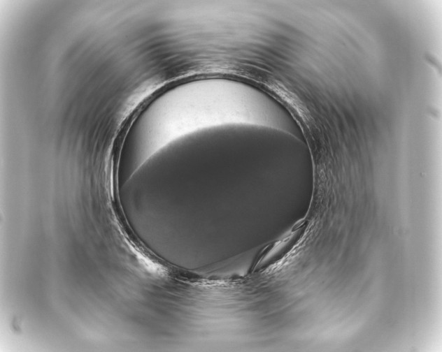 X0000093741127200710301059