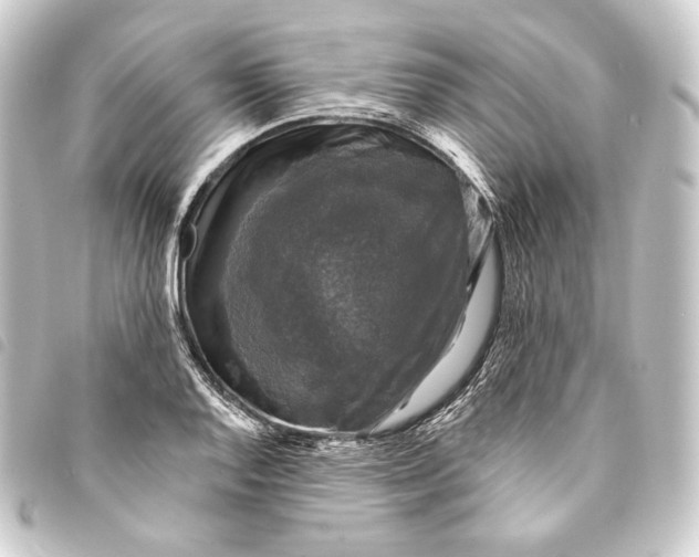 X0000093741128200710301059