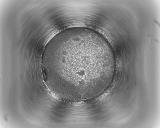 X0000093741129200710301059