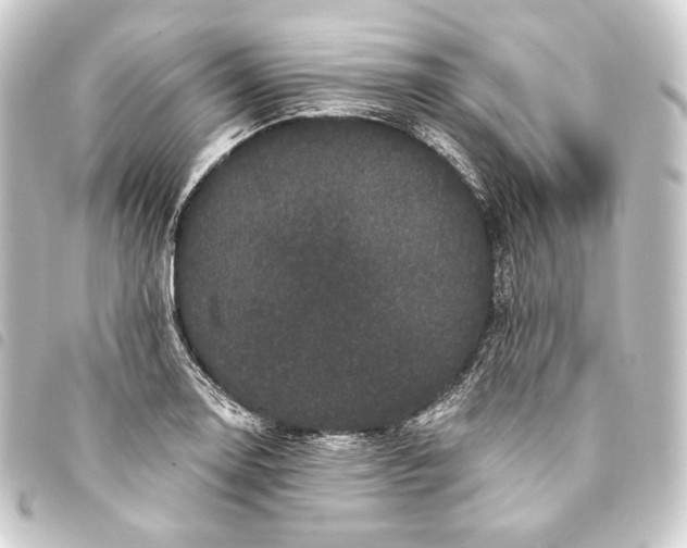 X0000093741130200710301059