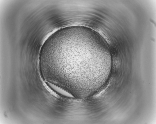 X0000093741134200710301059