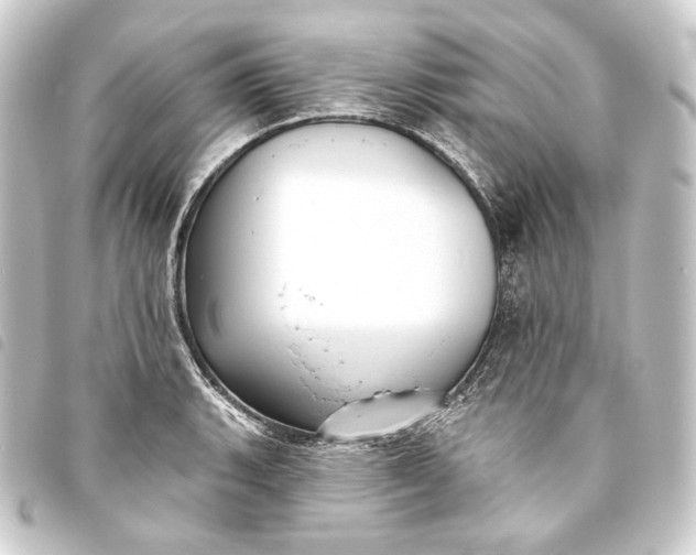 X0000093741135200710301059