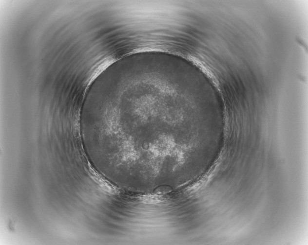 X0000093741137200710301059