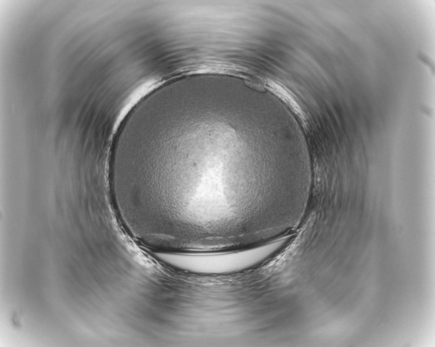 X0000093741138200710301059