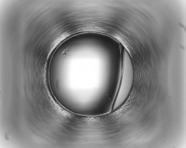 X0000093741139200710301059