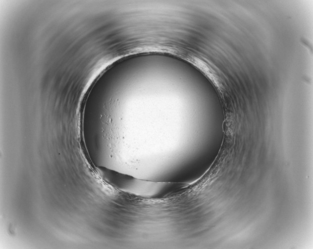 X0000093741140200710301059