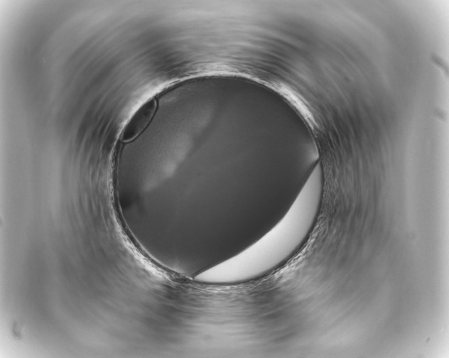 X0000093741142200710301059