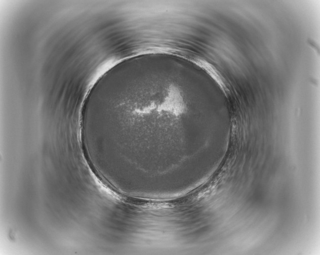 X0000093741143200710301059