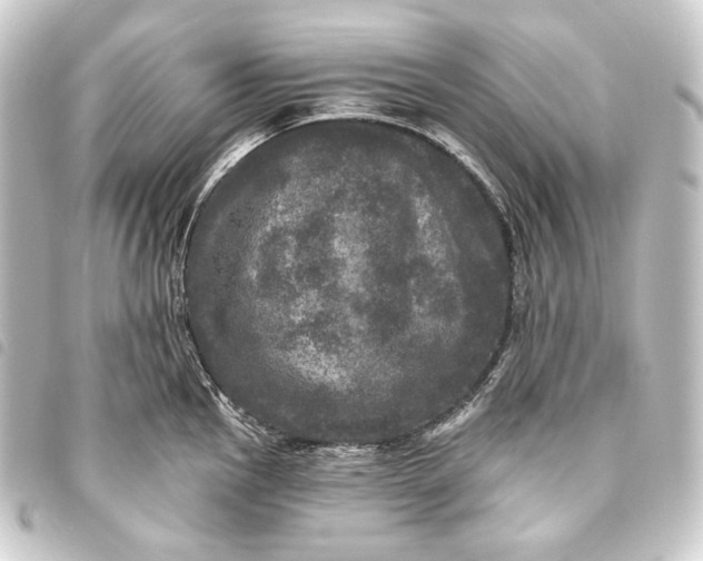 X0000093741145200710301059