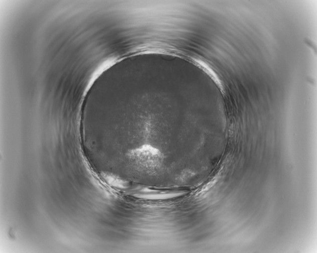 X0000093741146200710301059