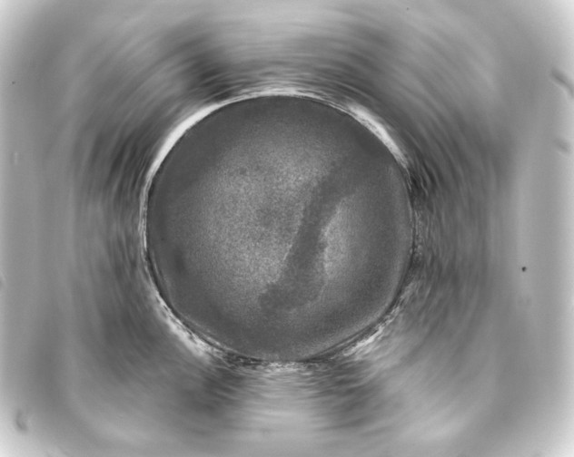 X0000093741148200710301059