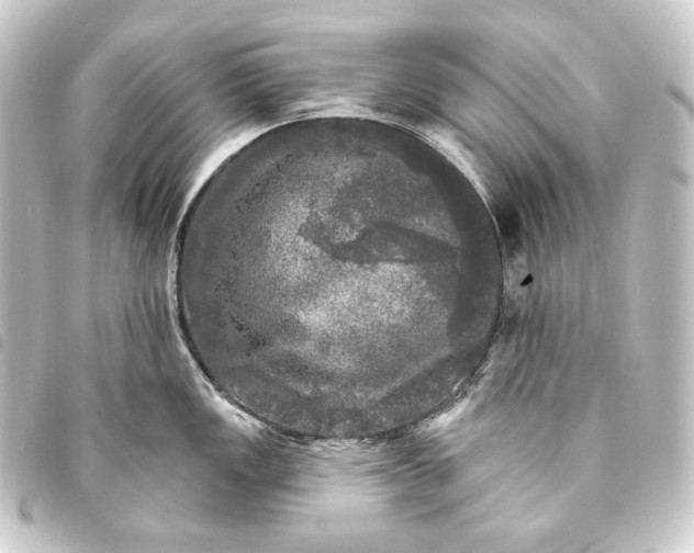 X0000093741149200710301059