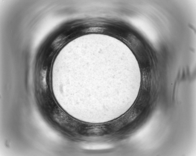 X0000093741150200710301059