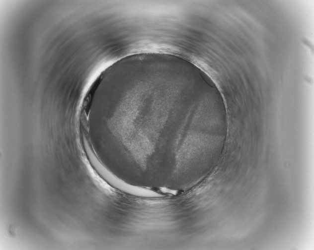 X0000093741152200710301059