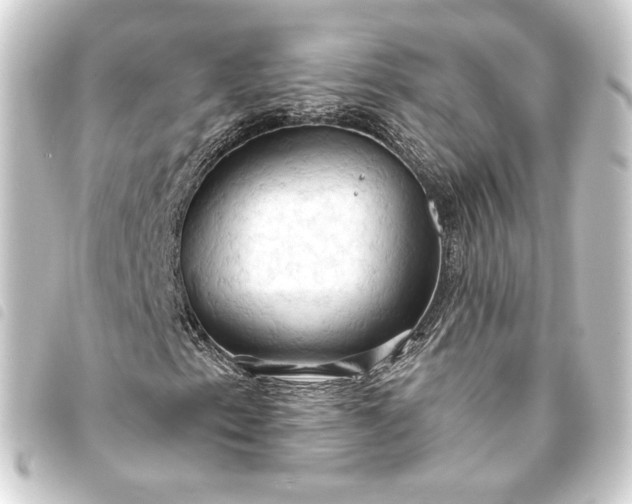 X0000093741153200710301058