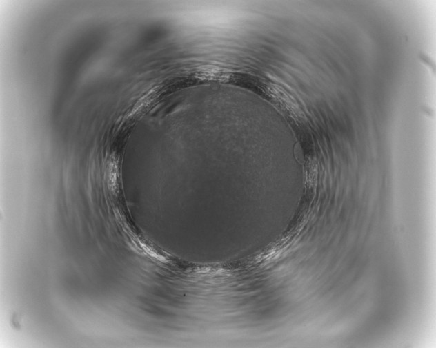 X0000093741154200710301058