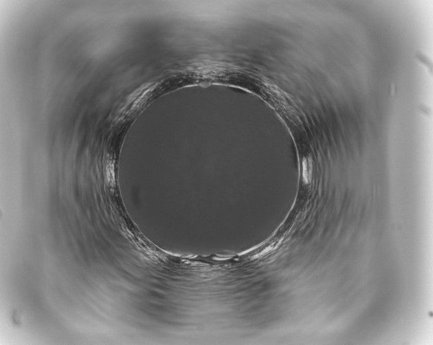 X0000093741155200710301058