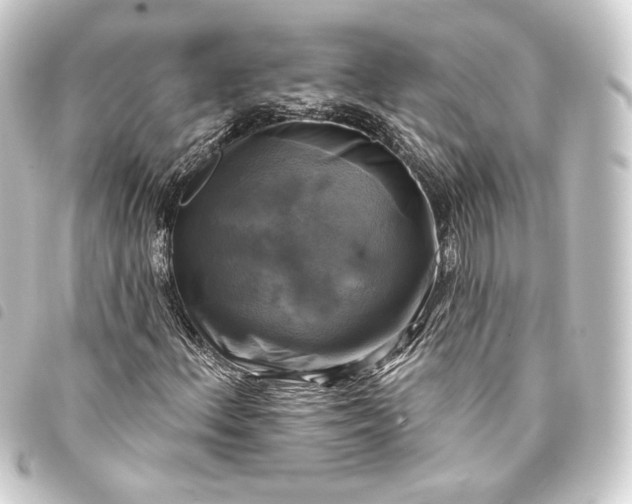 X0000093741156200710301058