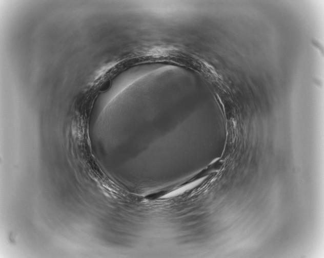 X0000093741158200710301058