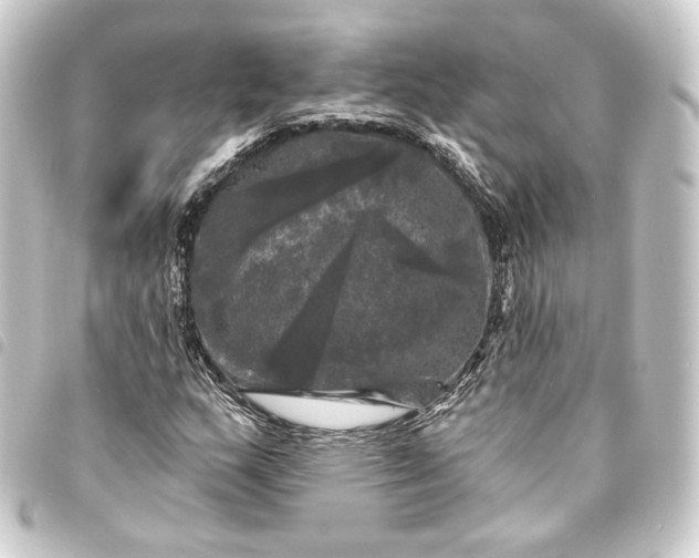 X0000093741159200710301058