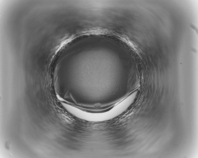 X0000093741160200710301058