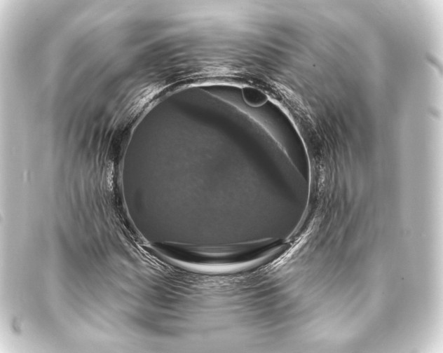 X0000093741161200710301058