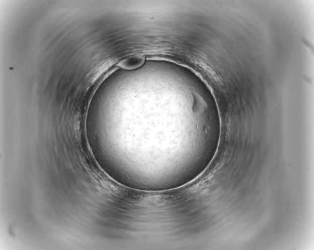 X0000093741162200710301058