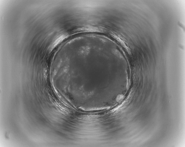 X0000093741163200710301058