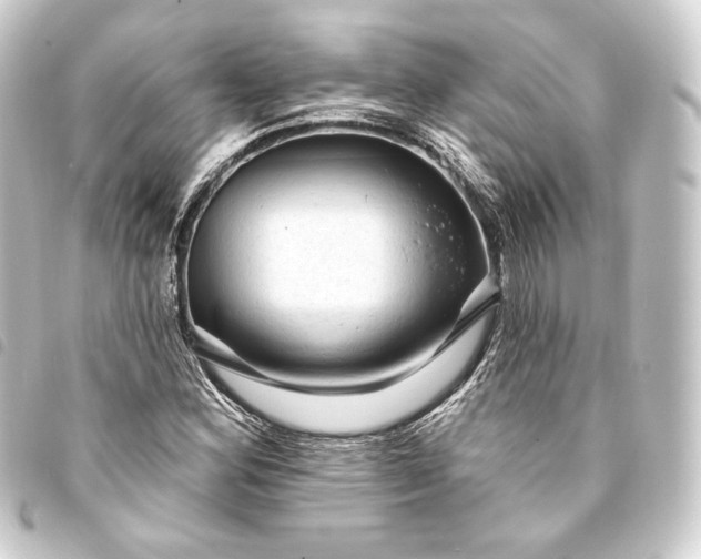 X0000093741164200710301058