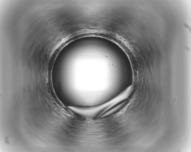 X0000093741165200710301058