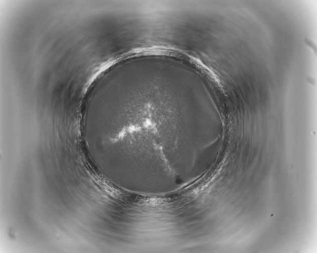 X0000093741166200710301058