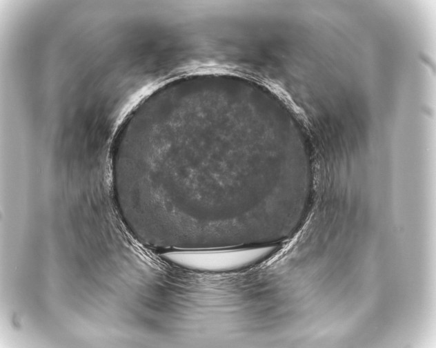 X0000093741167200710301058