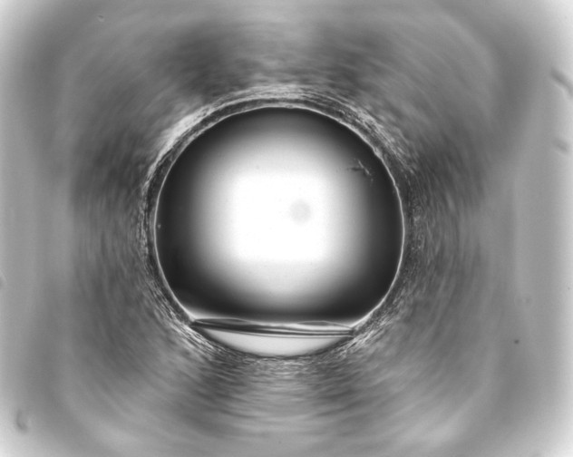 X0000093741168200710301058