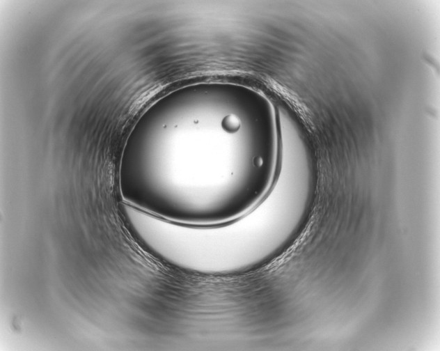 X0000093741169200710301058