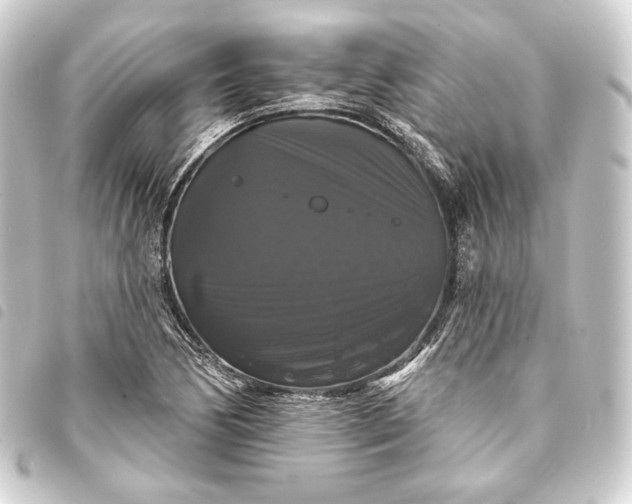 X0000093741170200710301058