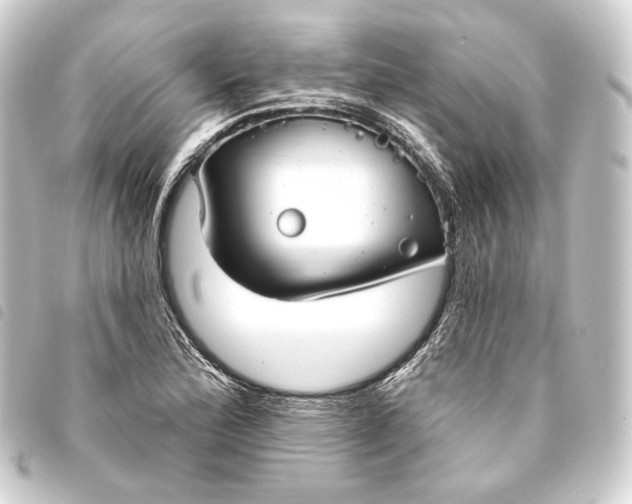 X0000093741172200710301058