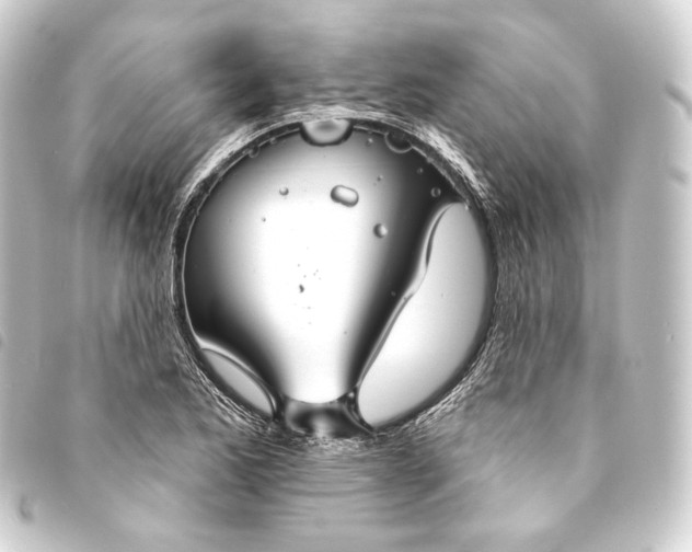 X0000093741173200710301058