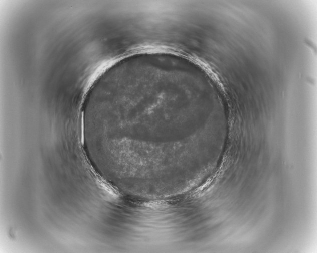 X0000093741175200710301058