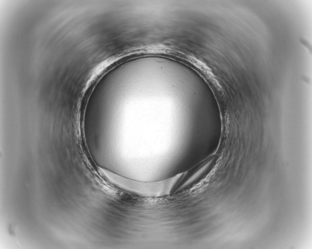 X0000093741176200710301058