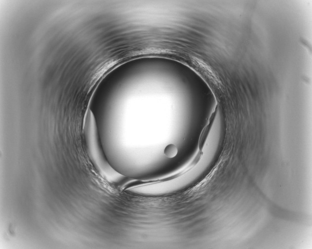 X0000093741177200710301058