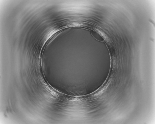 X0000093741178200710301058