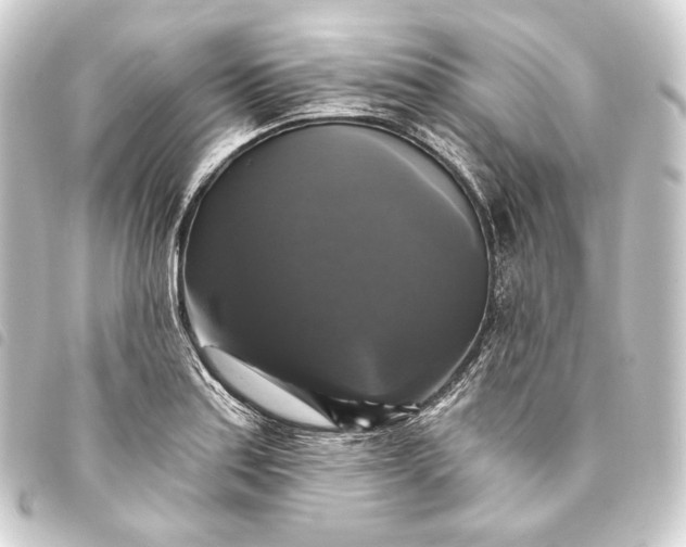 X0000093741179200710301058