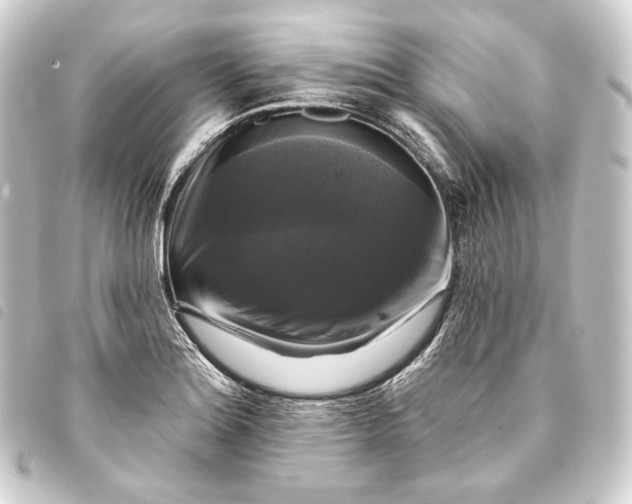 X0000093741180200710301058