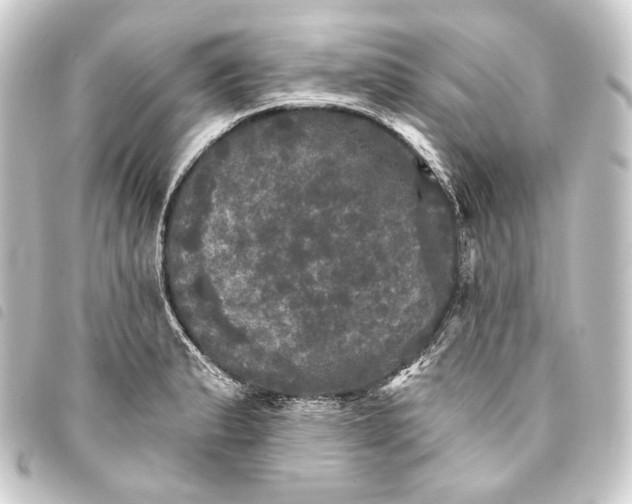 X0000093741183200710301058