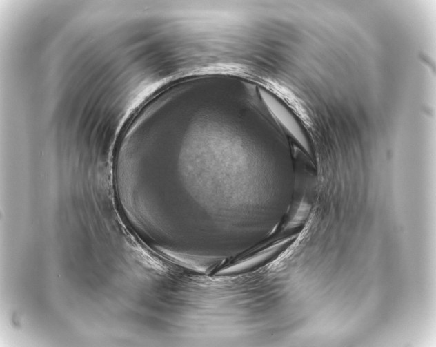 X0000093741184200710301058