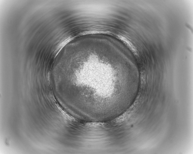 X0000093741185200710301058